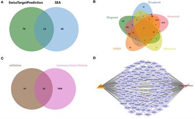 The therapeutic effect and targets of cellulose polysaccharide on coronary heart disease (CHD) and the construction of a prognostic signature based on network pharmacology